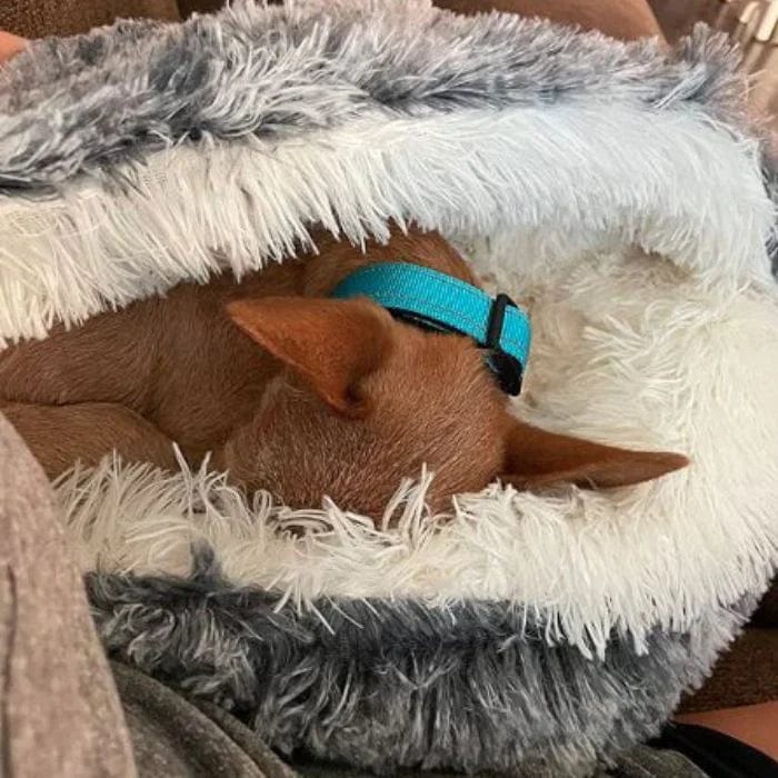 CozyNook™ Fluffy Deluxe Pet Cave Bed