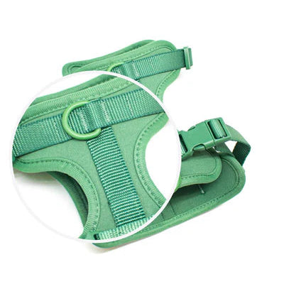 All-in-One Pet Walk Kit