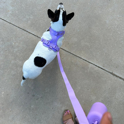All-in-One Pet Walk Kit