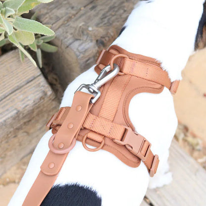 All-in-One Pet Walk Kit